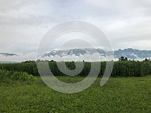 SCHAAN, LIECHTENSTEIN, AUGUST 4, 2021 Bad weather over a green field