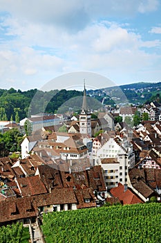 Schaffhausen on the Upper Rhine