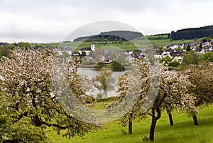 Schalkenmehren in the Eifel