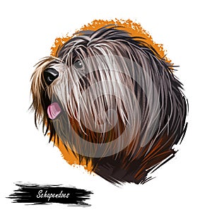 Schapendoes dog portrait isolated on white. Digital art illustration of hand drawn dog for web, t-shirt print and puppy food cover