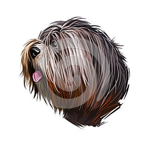 Schapendoes dog portrait isolated on white. Digital art illustration of hand drawn dog for web, t-shirt print and puppy food cover