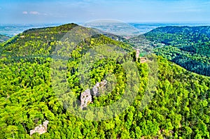 Scharfenberg Castle in the Palatinate Forest. Rhineland-Palatinate, Germany