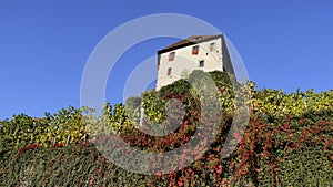 Schatten Castle On The Mountain with Colorful Leaves photo