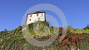 Schatten Castle And Vineyard On The Mountain photo