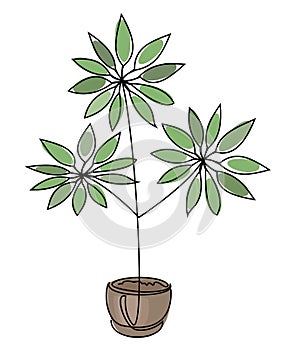 Schefflera flower branch in a pot in a modern style in one line style. Continuous line drawing, outline for home decor, posters, w