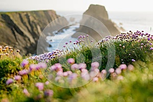 Scheildren, most iconic and photographed landscape at Malin Head, Ireland\'s northernmost point, Wild Atlantic Way