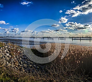 The Scheldt in Antwerp, Belgium