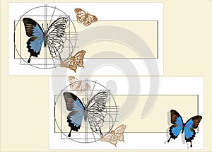 A schematic drawing of a butterfly.