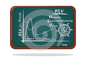 Schematic human immunodeficiency virus