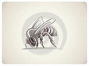 Schematic illustration Bee