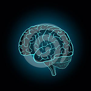 Schematic illustration of human brain on a dark blue background photo