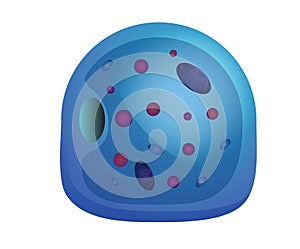 Human cell illustration photo