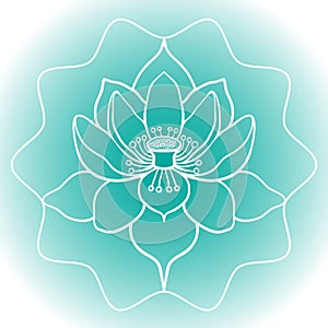 Schematic picture of flower lotus in blossom vector illustration