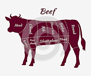 Scheme of Beef Cuts for Steak and Roast