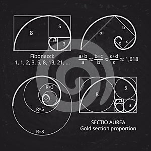 Scheme of golden ratio section, fibonacci spiral on blackboard vector illustration