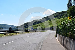 Schengen, Luxembourg - 07 11 2023: Road from Schnengen to France without any border infrastructure