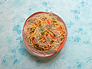 Schezwan Noodles with vegetables in a plate.