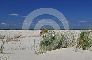 Schiermonnikoog island, white sand beach. Holland