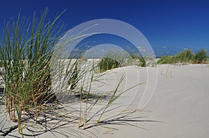 Schiermonnikoog island, white sand beach. Holland