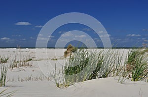 Schiermonnikoog island, white sand beach. Holland photo