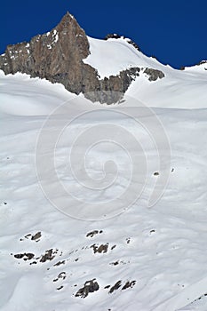 Schinhorn