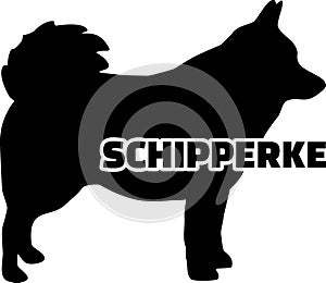 Schipperke silhouette real word