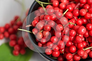 Schisandra chinensis Fruit and Berries