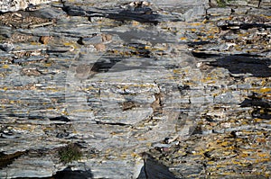 Schist eroded by water and stones at Pulo do Lobo