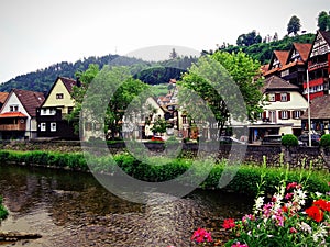 Schiutach Village photo