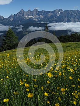 Schladming, Austria, Reiteralm cableway, view of Dachstein