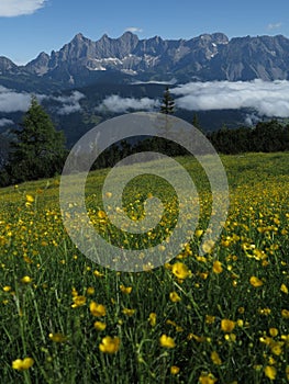 Schladming, Austria, Reiteralm cableway, view of Dachstein