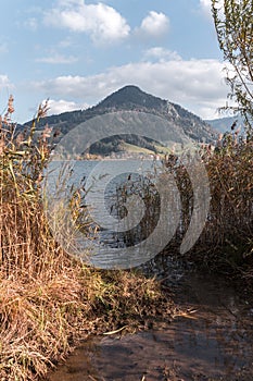 The Schliersee in autumn colors in the Bavarian mountains. With reed in the foreground.