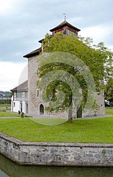 Schloss PfÃ¤ffikon, Swiss Heritage Palace, Single Tree near the Palace, PfÃ¤ffikon Castle, Freienbach,