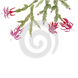 Schlumberger cactus vector composition