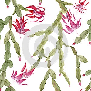 Schlumberger cactus vector pattern