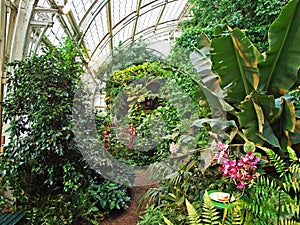 Schmetterlinghaus, Wien Art nouveau palm house or greenhouse, home to hundreds of butterflies housed in a tropical rainforest