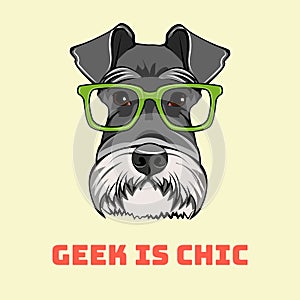 Schnauzer Dog geek portrait. Smart glasses. Dog nerd. Geek is chic lettering. Vector.