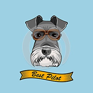 Schnauzer Dog pilot. Aviators glasses. Best pilot lettering. Vector.