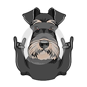 Schnauzer Dog Portrait. Horns, Rock gesture. Schnauzer breed. Vector.