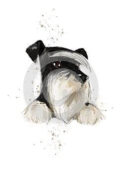 Schnauzer dog print, wall art