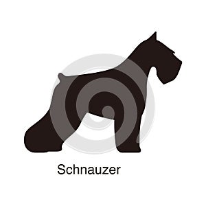 Schnauzer dog silhouette, side view, vector illustration