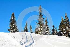 Schneeberg, Austria, Winter scene