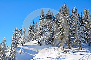 Schneeberg, Austria, Winter scene