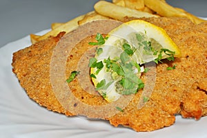 Schnitzel with french fries