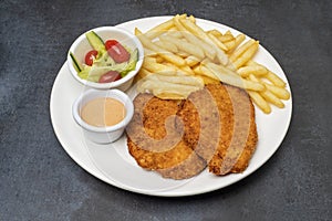 Schnitzel and fried potatoes on plate with fries and veggies