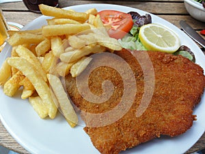 Schnitzel with Fries and Salad