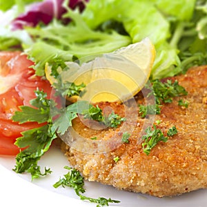 Schnitzel with Salad