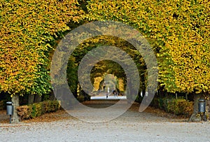 Schoenbrunn palace park on an autumn day