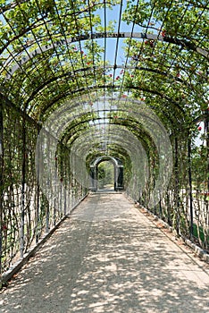 Schoenbrunn Sissi Castle - Vienna