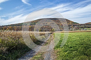 Schoharie Farm Country